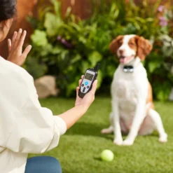 Trainer Dog Collar, Waterproof & Rechargeable With 430 Yards Range, 1 Collar -Pawsphoria Sales Store 316497 PT4. AC SS1800 V1637615868