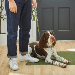 Disney Minnie Mouse Hawaiian Dog Collar & Disney Minnie Mouse Hawaiian Dog Leash -Pawsphoria Sales Store 318928 PT7. AC SS1800 V1631139411