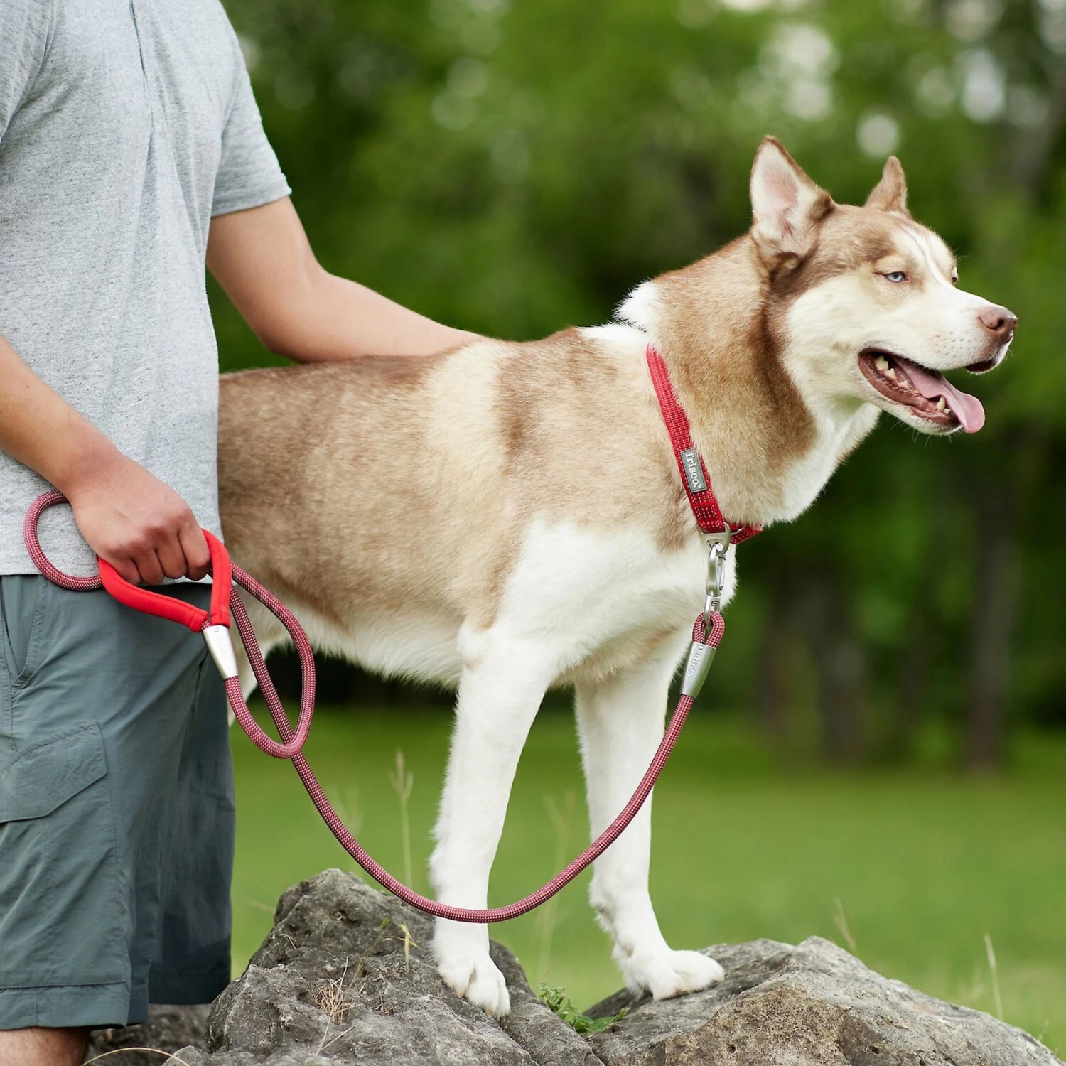 Frisco Outdoor Comfort Print Nylon Padded Dog Collar & Frisco Outdoor Ultra Reflective Rope Leash With Padded Handle 9 Frisco Outdoor Comfort Print Nylon Padded Dog Collar & Frisco Outdoor Ultra Reflective Rope Leash With Padded Handle - Image 9
