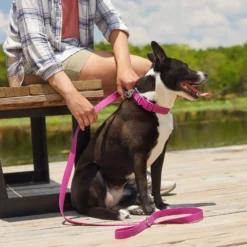 Frisco Outdoor Solid Textured Waterproof Stink Proof PVC Dog Harness & Frisco Outdoor Solid Textured Waterproof Stink Proof PVC Dog Leash -Pawsphoria Sales Store 319356 PT7. AC SS1800 V1631141802