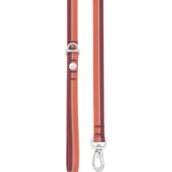 Frisco Outdoor Two Toned Waterproof Stink Proof PVC Dog Leash & Frisco Outdoor Two Tone Waterproof Stinkproof PVC Dog Harness -Pawsphoria Sales Store 319448 PT2. AC SS1800 V1631157075