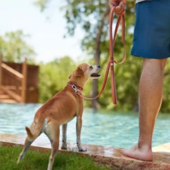 Frisco Outdoor Two Toned Waterproof Stink Proof PVC Dog Leash & Frisco Outdoor Two Tone Waterproof Stinkproof PVC Dog Harness -Pawsphoria Sales Store 319448 PT3. AC SS1800 V1631149877