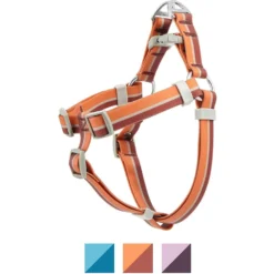 Frisco Outdoor Two Toned Waterproof Stink Proof PVC Dog Leash & Frisco Outdoor Two Tone Waterproof Stinkproof PVC Dog Harness -Pawsphoria Sales Store 319448 PT4. AC SS1800 V1631154390