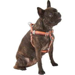 Frisco Outdoor Two Toned Waterproof Stink Proof PVC Dog Leash & Frisco Outdoor Two Tone Waterproof Stinkproof PVC Dog Harness -Pawsphoria Sales Store 319448 PT5. AC SS1800 V1631146290