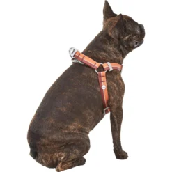 Frisco Outdoor Two Toned Waterproof Stink Proof PVC Dog Leash & Frisco Outdoor Two Tone Waterproof Stinkproof PVC Dog Harness -Pawsphoria Sales Store 319448 PT6. AC SS1800 V1631152279