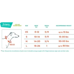 Frisco Outdoor Woven Jacquard Nylon Dog Collar & Frisco Outdoor Waterproof Stinkproof PVC Rope Leash -Pawsphoria Sales Store 319466 PT3. AC SS1800 V1631118401