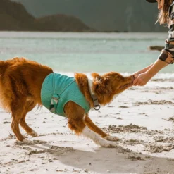 Hurtta Cooling Dog Wrap -Pawsphoria Sales Store 320021 PT3. AC SS1800 V1634838677