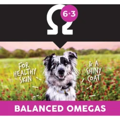 Ultimates Lamb Meal & Brown Rice Dry Dog Food -Pawsphoria Sales Store 322683 PT6. AC SS1800 V1635183095