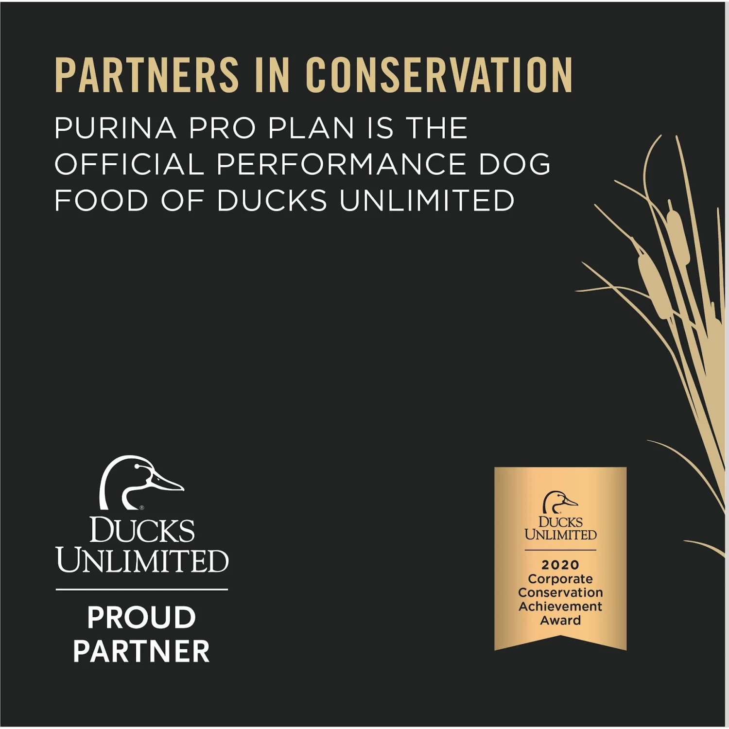 Purina Pro Plan Sport Performance All Life Stages High-Protein 30/20 Beef & Bison Formula Dry Dog Food 4 Purina Pro Plan Sport Performance All Life Stages High-Protein 30/20 Beef & Bison Formula Dry Dog Food - Image 4