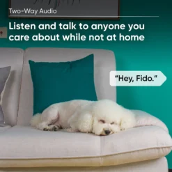 Wyze CAM Plus Dog & Cat Camera Motion & Bark Detection 3-Month Prepaid Card -Pawsphoria Sales Store 333663 PT4. AC SS1800 V1640272283