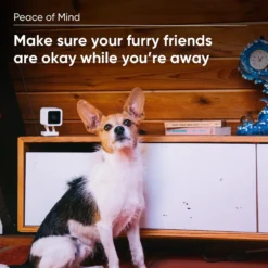 Wyze CAM Plus Dog & Cat Camera Motion & Bark Detection 3-Month Prepaid Card -Pawsphoria Sales Store 333663 PT5. AC SS1800 V1640272286