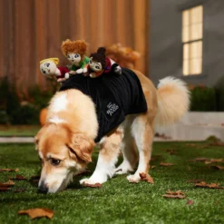 Disney Hocus Pocus Ride-On Sanderson Sisters Dog & Cat Costume -Pawsphoria Sales Store 334711 PT8. AC SS1800 V1660069162