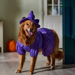 Disney Minnie Mouse Witch Dog & Cat Costume -Pawsphoria Sales Store 334755 PT8. AC SS1800 V1657719561