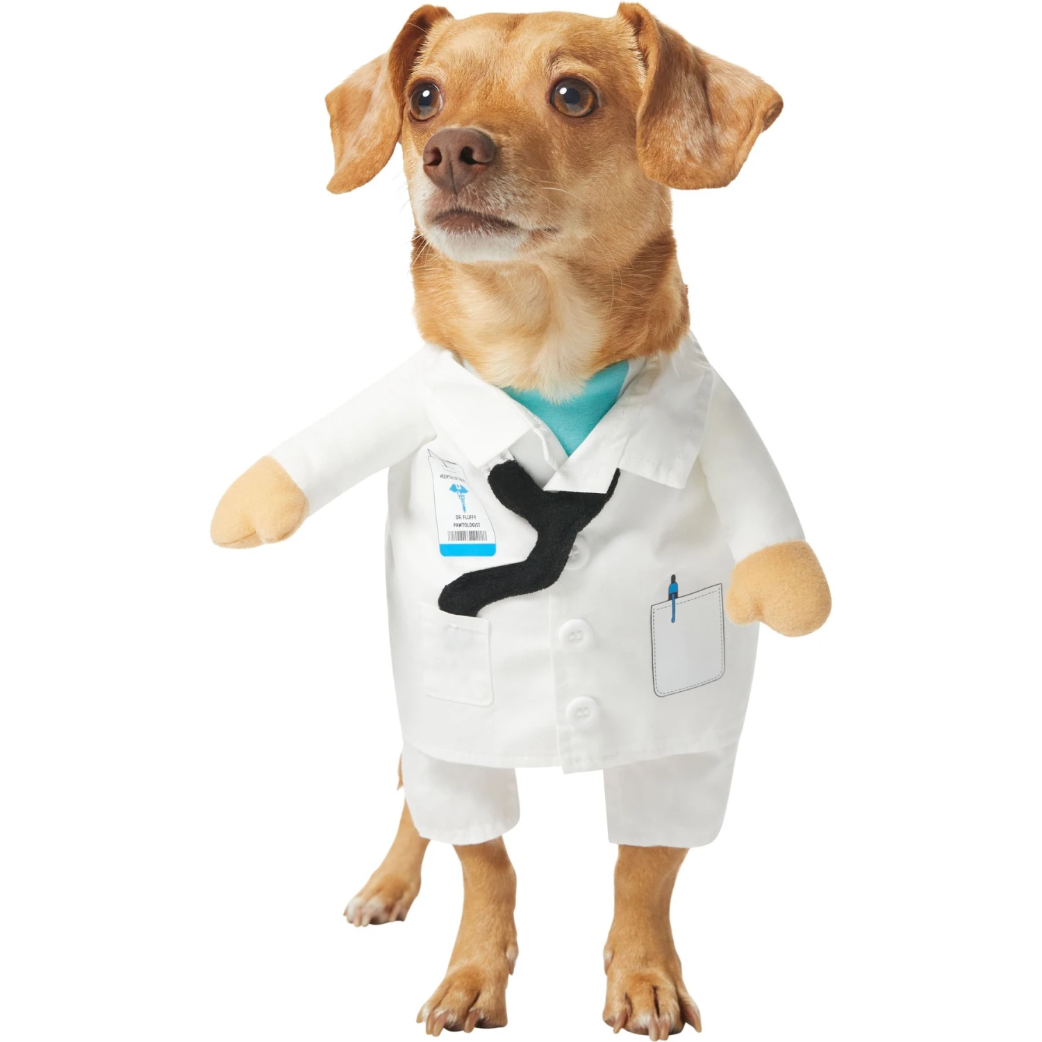 Frisco Front Walking Doctor Dog & Cat Costume 1 Frisco Front Walking Doctor Dog & Cat Costume
