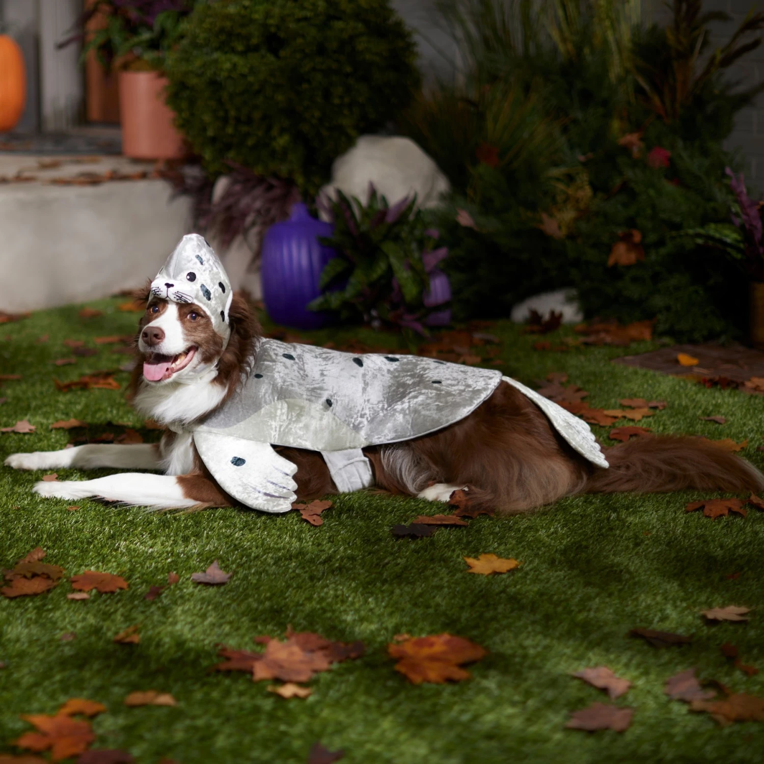 Frisco Seal Dog & Cat Costume 6 Frisco Seal Dog & Cat Costume - Image 6