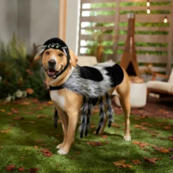 Frisco Spider Dog & Cat Costume -Pawsphoria Sales Store 335017 PT7. AC SS1800 V1657834853