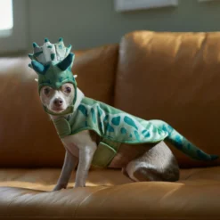 Frisco Triceratops Dog & Cat Costume -Pawsphoria Sales Store 335093 PT7. AC SS1800 V1657659565