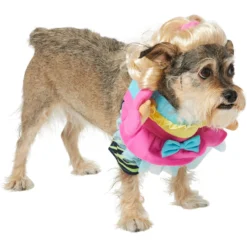 Frisco Front Walking Workout Girl Dog & Cat Costume -Pawsphoria Sales Store 335111 PT3. AC SS1800 V1659027675