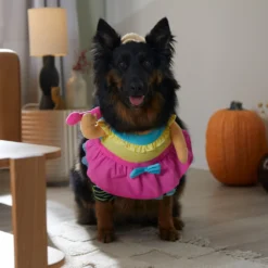 Frisco Front Walking Workout Girl Dog & Cat Costume -Pawsphoria Sales Store 335111 PT7. AC SS1800 V1657656881