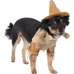 Frisco Front Walking Scarecrow Dog & Cat Costume 11 Frisco Front Walking Scarecrow Dog & Cat Costume -Pawsphoria Sales Store 335135 PT3. AC SS1800 V1658349680