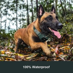 PATPET P920 Outdoor Dedicated 1300M Remote Dog Training Collar -Pawsphoria Sales Store 336091 PT4. AC SS1800 V1634566298