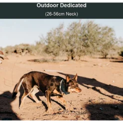 PATPET P920 Outdoor Dedicated 1300M Remote Dog Training Collar -Pawsphoria Sales Store 336091 PT5. AC SS1800 V1634566282