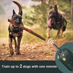 PATPET P920 Outdoor Dedicated 1300M Remote Dog Training Collar -Pawsphoria Sales Store 336091 PT6. AC SS1800 V1634566656