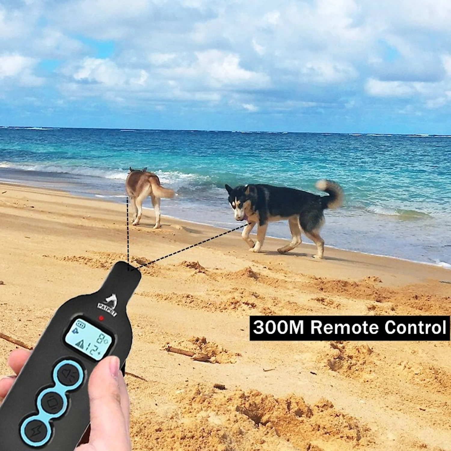 PATPET 350B Anti-Bark Dog Training Collar 3 PATPET 350B Anti-Bark Dog Training Collar - Image 3