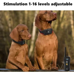 PATPET P640 Outdoor 1000M Waterproof Remote Dog Training Collar, 2 Count -Pawsphoria Sales Store 336095 PT3. AC SS1800 V1634566632
