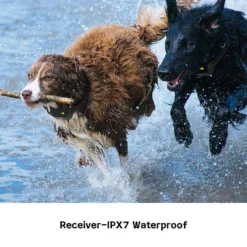 PATPET P640 Outdoor 1000M Waterproof Remote Dog Training Collar, 2 Count -Pawsphoria Sales Store 336095 PT4. AC SS1800 V1634568095