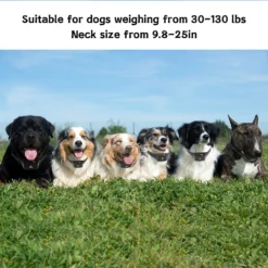 PATPET P640 Outdoor 1000M Waterproof Remote Dog Training Collar, 2 Count -Pawsphoria Sales Store 336095 PT6. AC SS1800 V1634566627