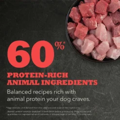 ACANA Red Meat Recipe Grain-Free Dry Dog Food & ACANA Singles Beef & Pumpkin Formula Grain-Free Freeze-Dried Dog Treats -Pawsphoria Sales Store 336334 PT3. AC SS1800 V1635897020