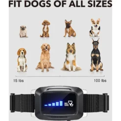 DogCare AB-Collar-12 Dog Bark Control Collar, Small 10 DogCare AB-Collar-12 Dog Bark Control Collar, Small -Pawsphoria Sales Store 336442 PT3. AC SS1800 V1637023942