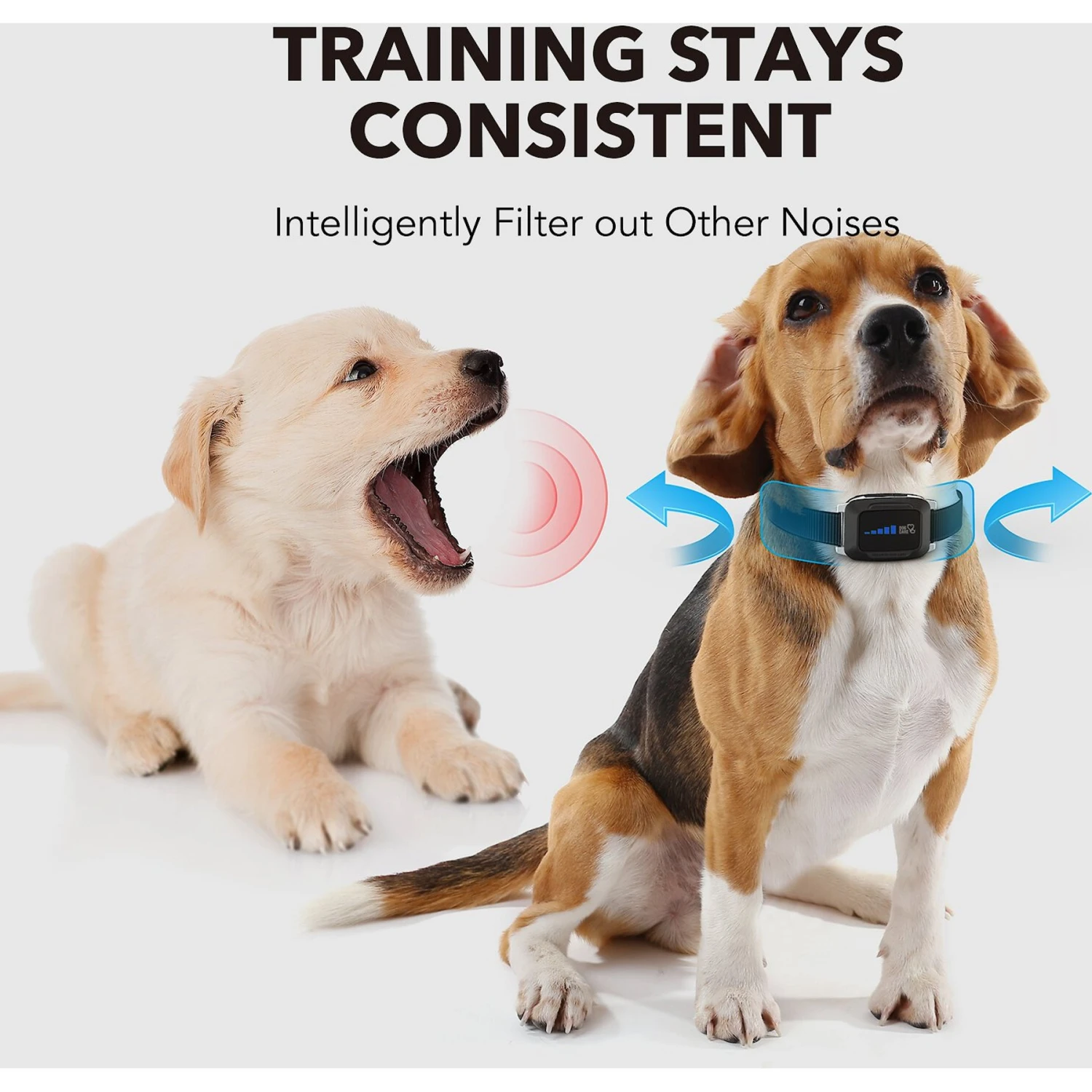 DogCare AB-Collar-12 Dog Bark Control Collar, Small 5 DogCare AB-Collar-12 Dog Bark Control Collar, Small - Image 5