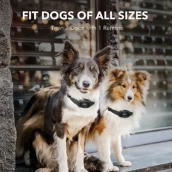 DogCare TC-System-18 Dog Training System, Small -Pawsphoria Sales Store 336463 PT3. AC SS1800 V1637171811