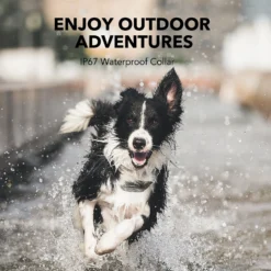 DogCare TC-System-18 Dog Training System, Small -Pawsphoria Sales Store 336463 PT4. AC SS1800 V1637172439