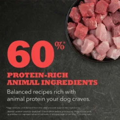 ACANA Red Meat Recipe Grain-Free Dry Dog Food & ACANA Rescue Care For Adopted Dogs Red Meat Sensitive Digestion Dry Dog Food -Pawsphoria Sales Store 338635 PT3. AC SS1800 V1635890382