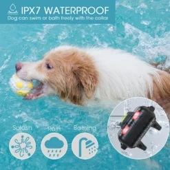 GroovyPets Three-Dog Kit 800 Yard Waterproof Long-Life Rechargable Remote Dog Training Shock Collar System -Pawsphoria Sales Store 342226 PT6. AC SS1800 V1635291393
