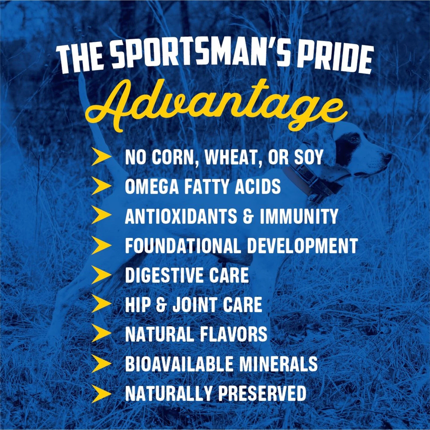 Sportsman's Pride Field Master Champion 32/21 Dry Puppy Food, 30-lb Bag 3 Sportsman's Pride Field Master Champion 32/21 Dry Puppy Food, 30-lb Bag - Image 3