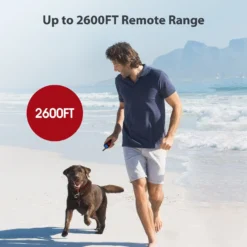 Petdiary Remote Training Shock Dog Collar, Small, Black & Orange, 2 Count -Pawsphoria Sales Store 346408 PT2. AC SS1800 V1646796109