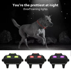 Petdiary Remote Training Shock Dog Collar, Small, Black & Orange, 2 Count -Pawsphoria Sales Store 346408 PT4. AC SS1800 V1646791959