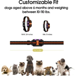Petdiary Remote Training Shock Dog Collar, Small, Black & Orange, 2 Count -Pawsphoria Sales Store 346408 PT5. AC SS1800 V1646787711