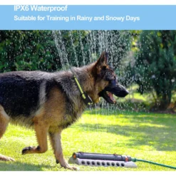 Petdiary Vibration Dog Bark Collar, Small -Pawsphoria Sales Store 346411 PT3. AC SS1800 V1646783529