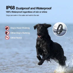 Petdiary Smart Bark Waterproof Static Dog Bark Collar, Small, Dark Gray 14 Petdiary Smart Bark Waterproof Static Dog Bark Collar, Small, Dark Gray -Pawsphoria Sales Store 346418 PT5. AC SS1800 V1646795543