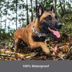 PATPET P920 Outdoor Dedicated 4000ft Remote Dog Training Collar -Pawsphoria Sales Store 346422 PT4. AC SS1800 V1637608464