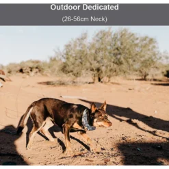 PATPET P920 Outdoor Dedicated 4000ft Remote Dog Training Collar -Pawsphoria Sales Store 346422 PT5. AC SS1800 V1637608582