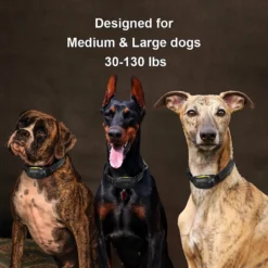 PATPET P910 Military Professional 3000-ft Remote Vibrating Dog Training Collar, Black -Pawsphoria Sales Store 346424 PT6. AC SS1800 V1637608589