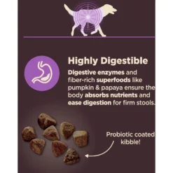 Wellness CORE Digestive Health Age Advantage Senior Chicken & Brown Rice Dry Dog Food -Pawsphoria Sales Store 347656 PT3. AC SS1800 V1638466030