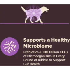 Wellness CORE Digestive Health Age Advantage Senior Chicken & Brown Rice Dry Dog Food -Pawsphoria Sales Store 347656 PT4. AC SS1800 V1638465814