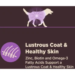 Wellness CORE Digestive Health Age Advantage Senior Chicken & Brown Rice Dry Dog Food -Pawsphoria Sales Store 347656 PT5. AC SS1800 V1638465861